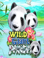 ufalion168 com transactionxo ฝาก เพื่อลุ้นกำไรงาม